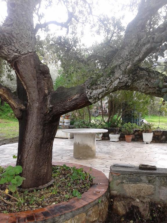 B&B La Quercia San Gregorio  Eksteriør billede