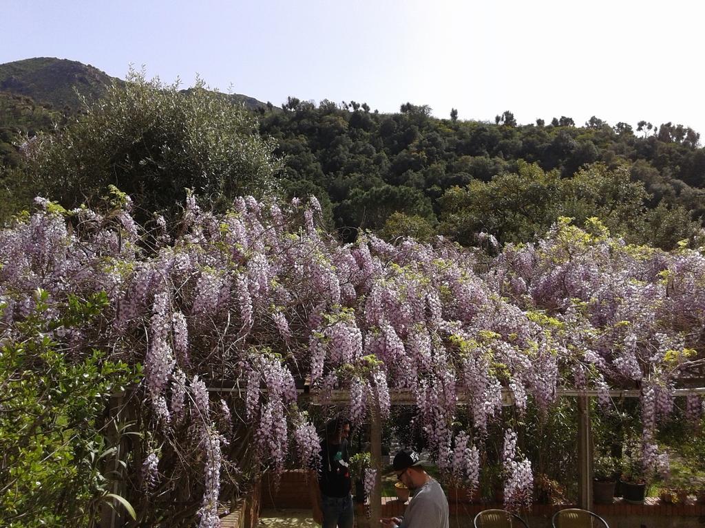 B&B La Quercia San Gregorio  Eksteriør billede