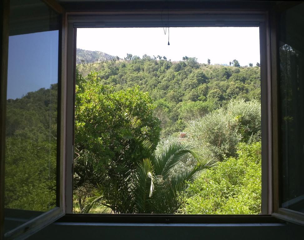 B&B La Quercia San Gregorio  Værelse billede