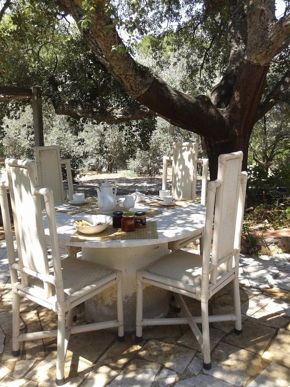B&B La Quercia San Gregorio  Eksteriør billede