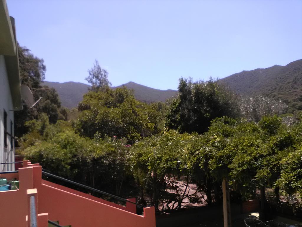 B&B La Quercia San Gregorio  Eksteriør billede